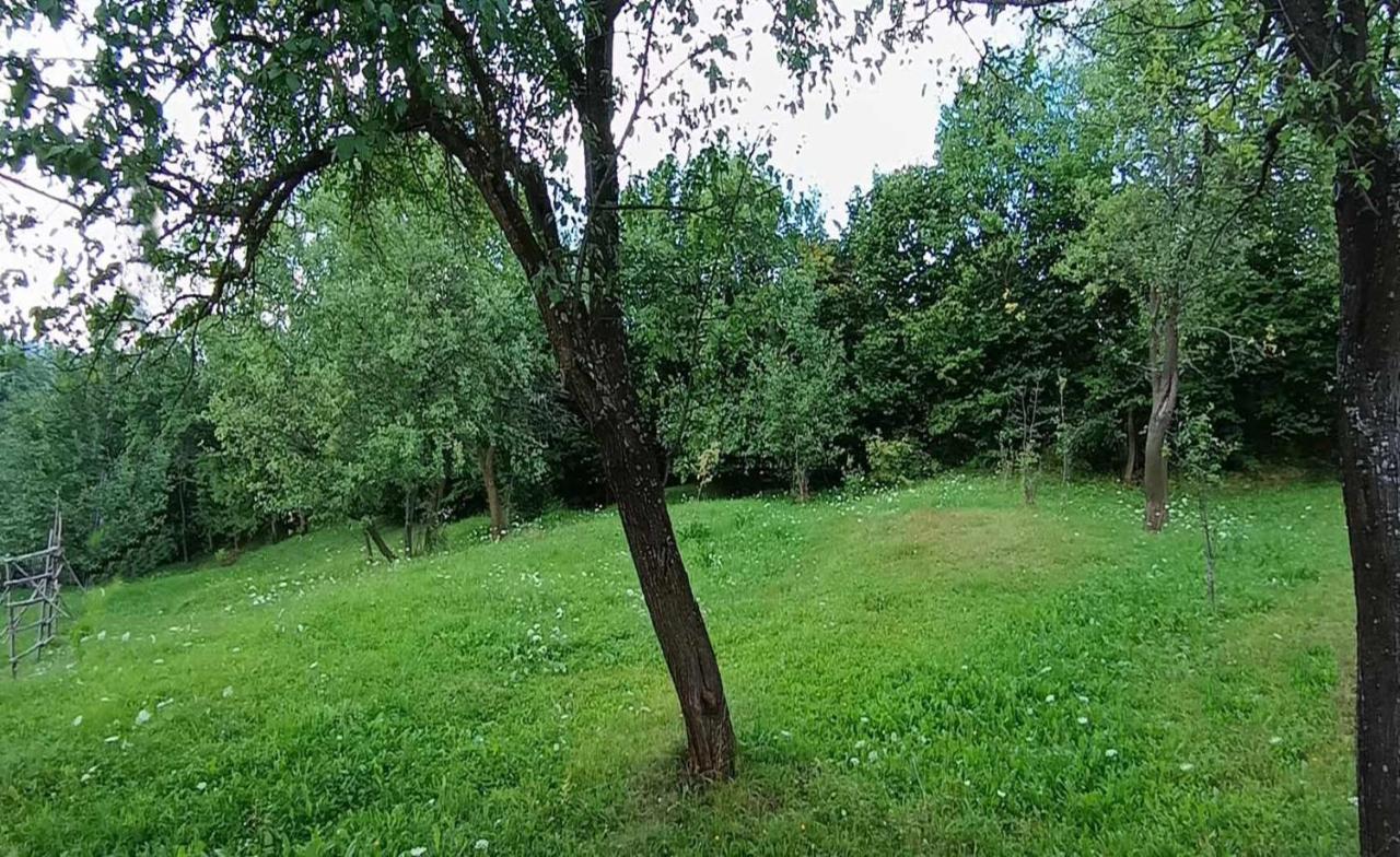 Вілла Casuta Din Livada Мойсей Екстер'єр фото
